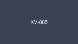 XV-885 Im Retiring Haruka Ito Will Celebrate